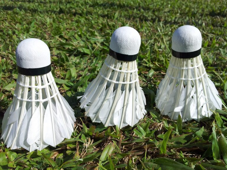 The Economics of Cricket Stadium Renovation Projects